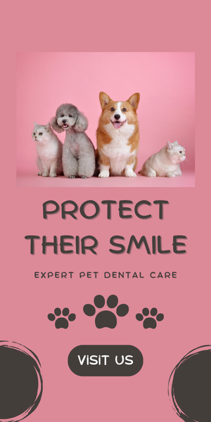 pet dental care